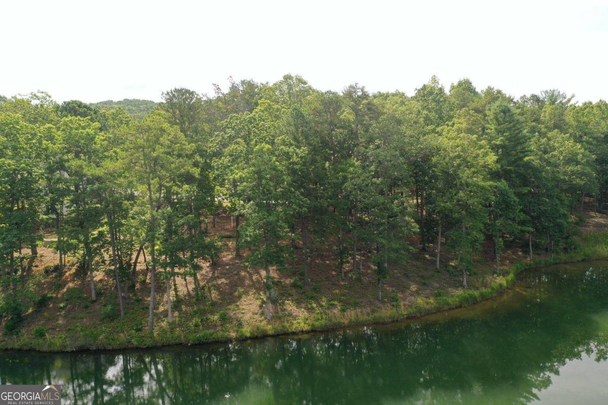 Clarkesville, GA 30523,1117 Rome Beauty