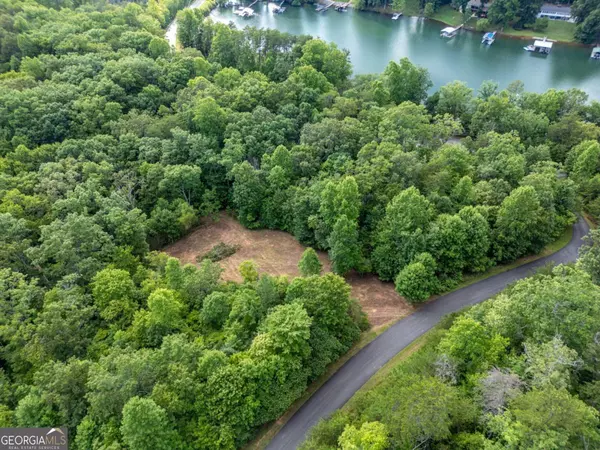 Hiawassee, GA 30546,LOT 3 Sweetwater View