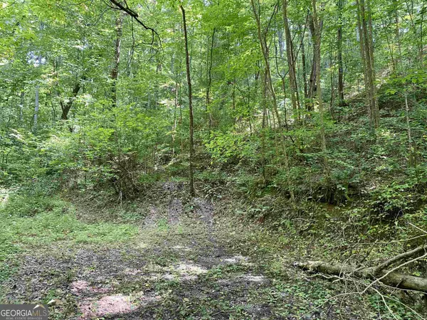 Ellijay, GA 30536,0 Dickerson DR #18,19,20,21