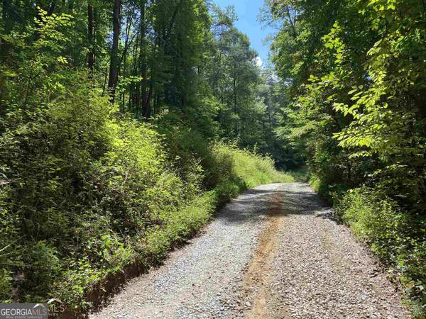 0 Dickerson DR #18, 19, 20, 21, Ellijay, GA 30536