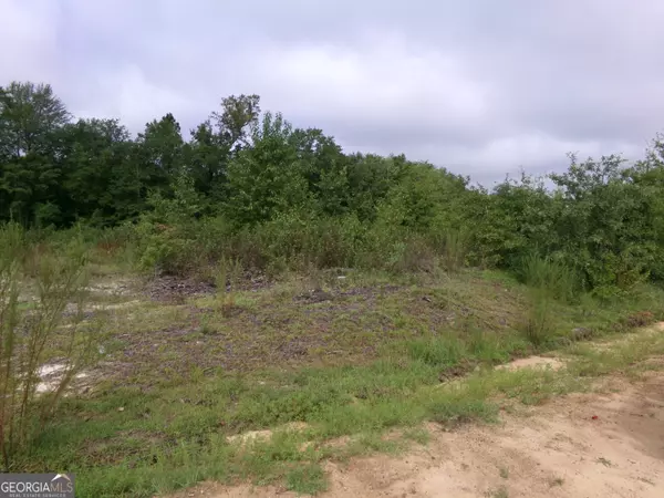 Swainsboro, GA 30401,LOT 2 MIMOSA ROAD