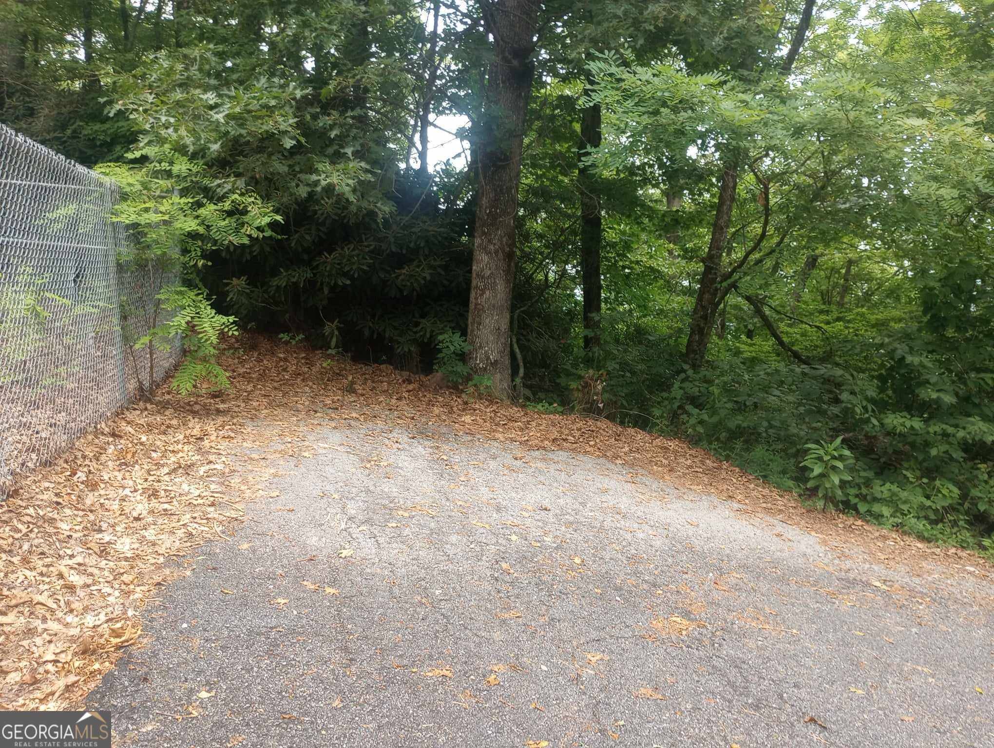 0 Bayberry Lane #58, Sky Valley, GA 30537