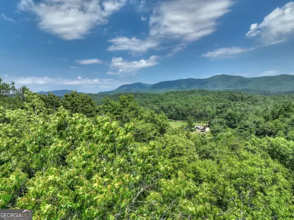 Ellijay, GA 30540,LOT 337 Tunica