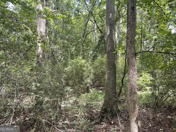 Danielsville, GA 30633,0 Wildcat Bridge RD