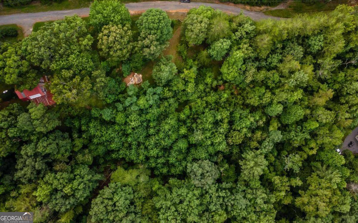 Ellijay, GA 30536,125 Laurel Hill LN