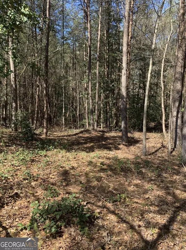 Cornelia, GA 30531,LOT 44 Beachwood