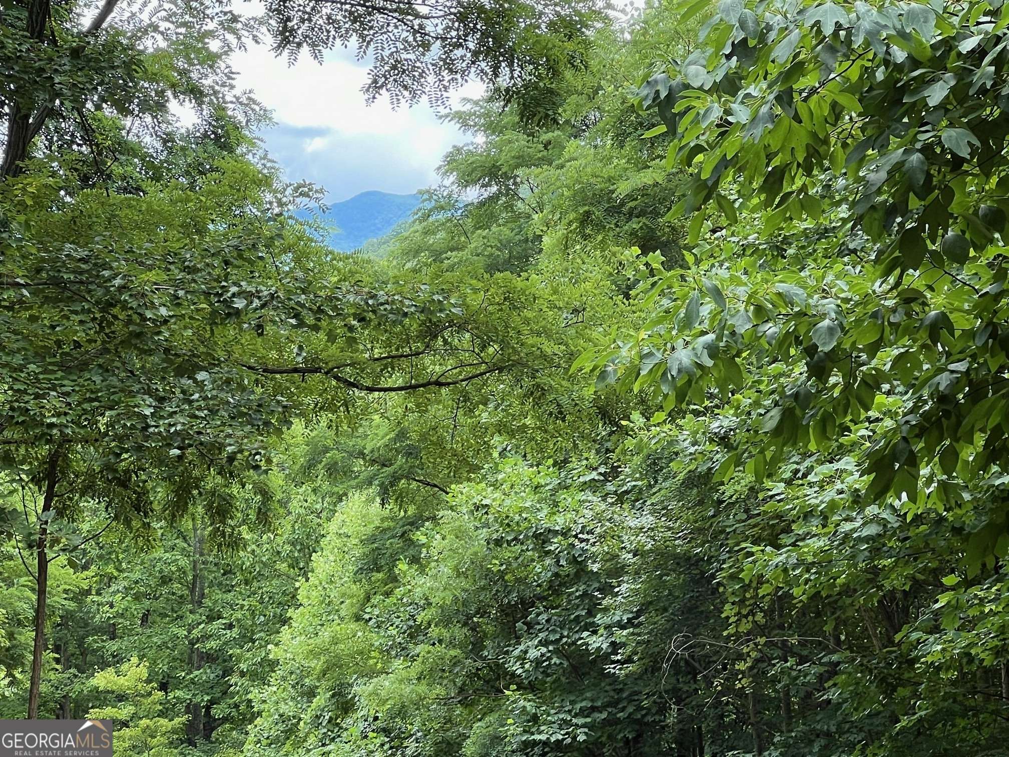 Young Harris, GA 30582,0 Overlook DR