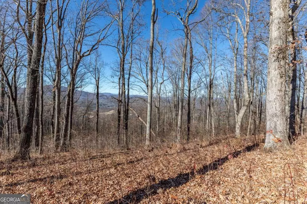 Young Harris, GA 30582,LT 24 Rocky Knob EST