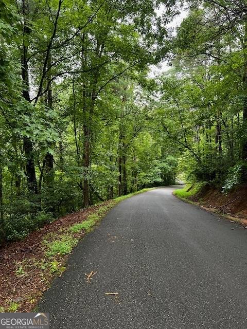 Ellijay, GA 30540,LOT 288 Etowah DR