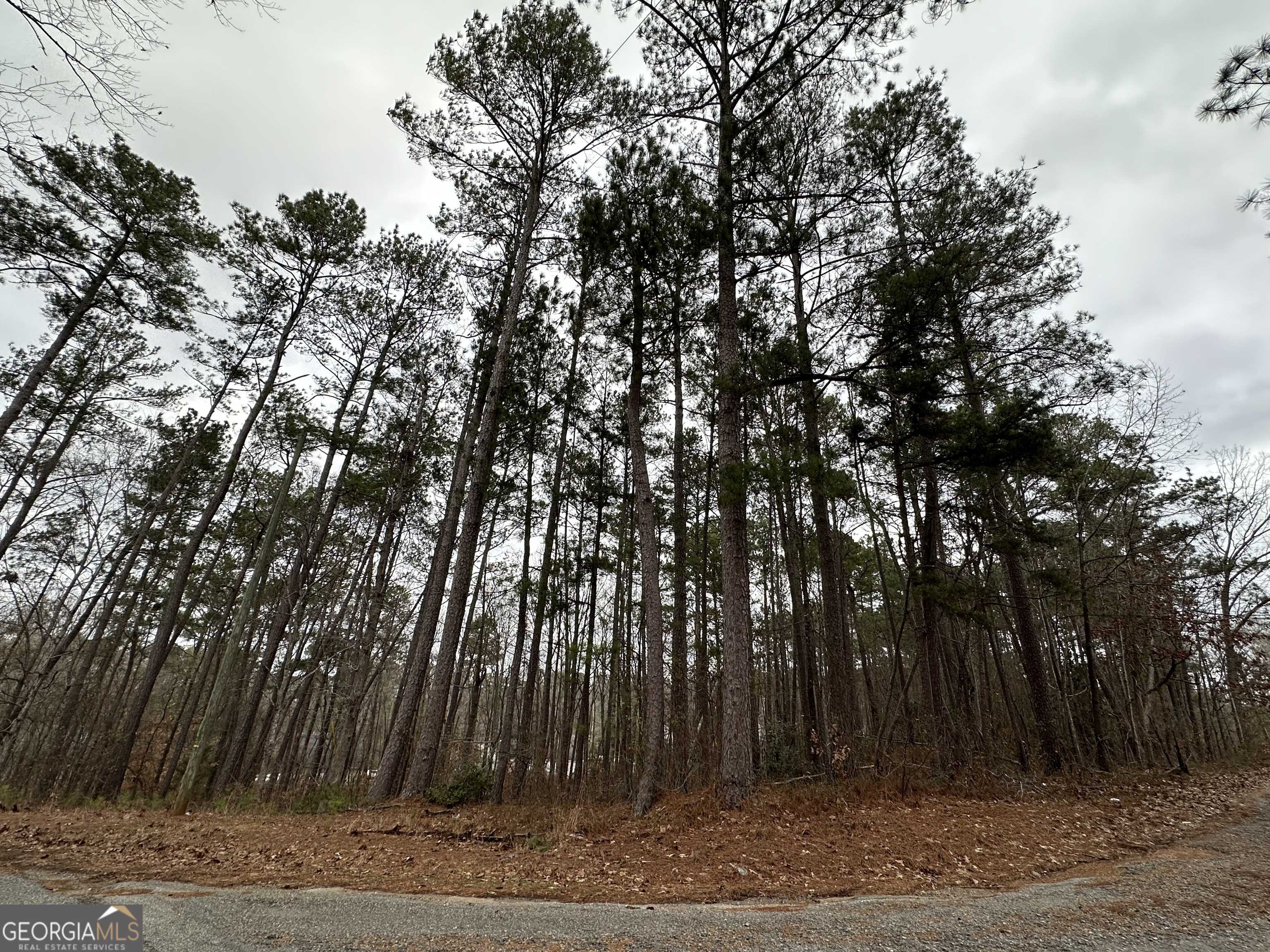 Monticello, GA 31064,0 Davis ST