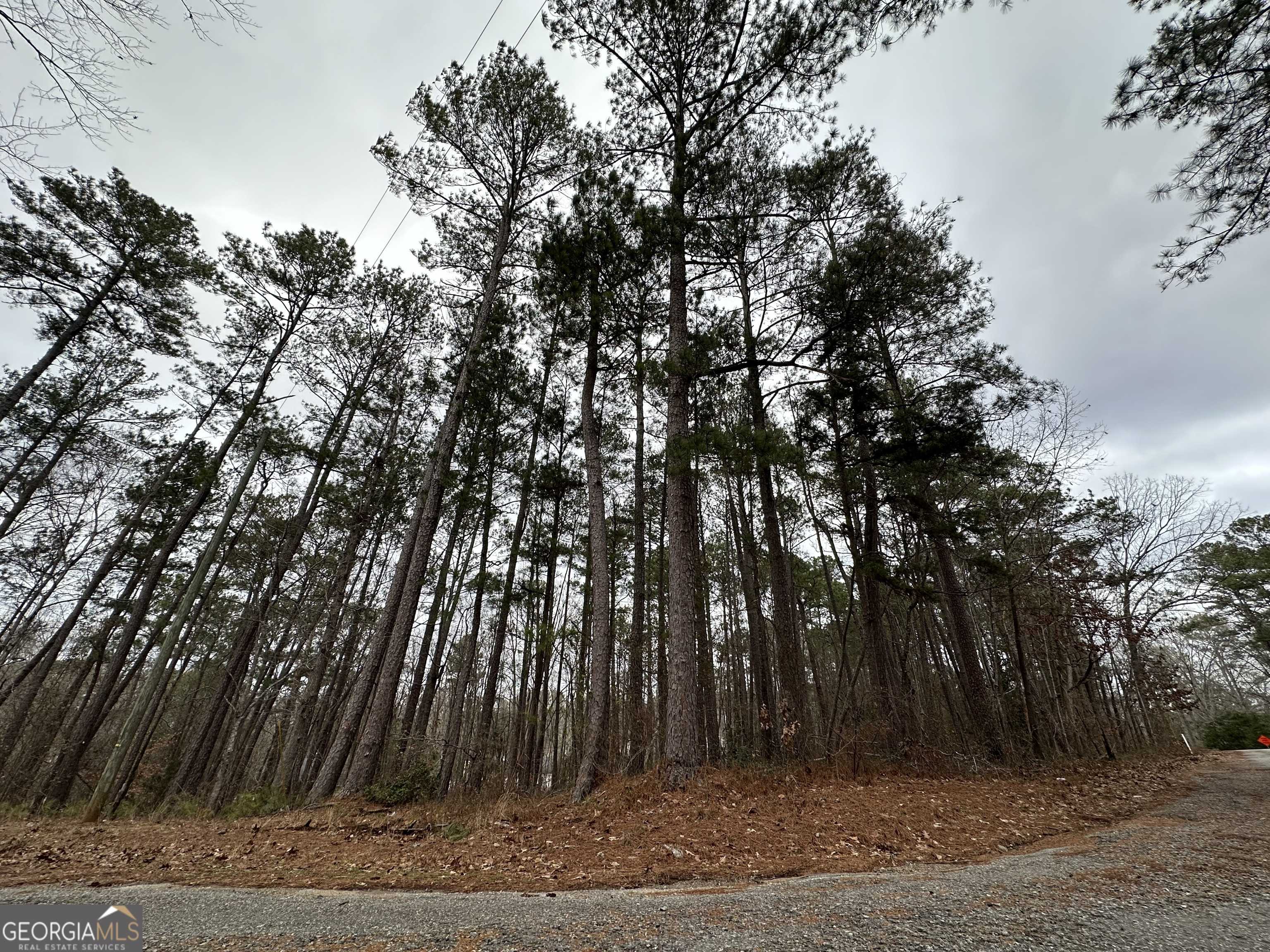Monticello, GA 31064,0 Davis ST