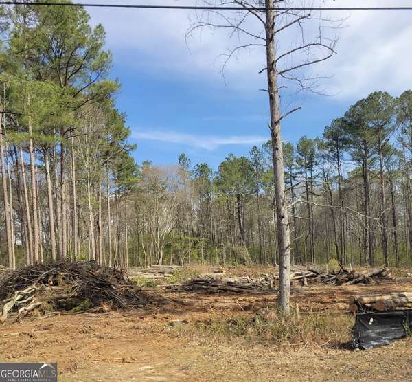 0 Maple TRL, Sharpsburg, GA 30277