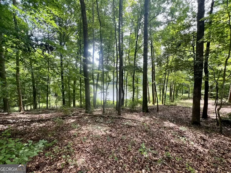 0 Plantation DR, Sandersville, GA 31082