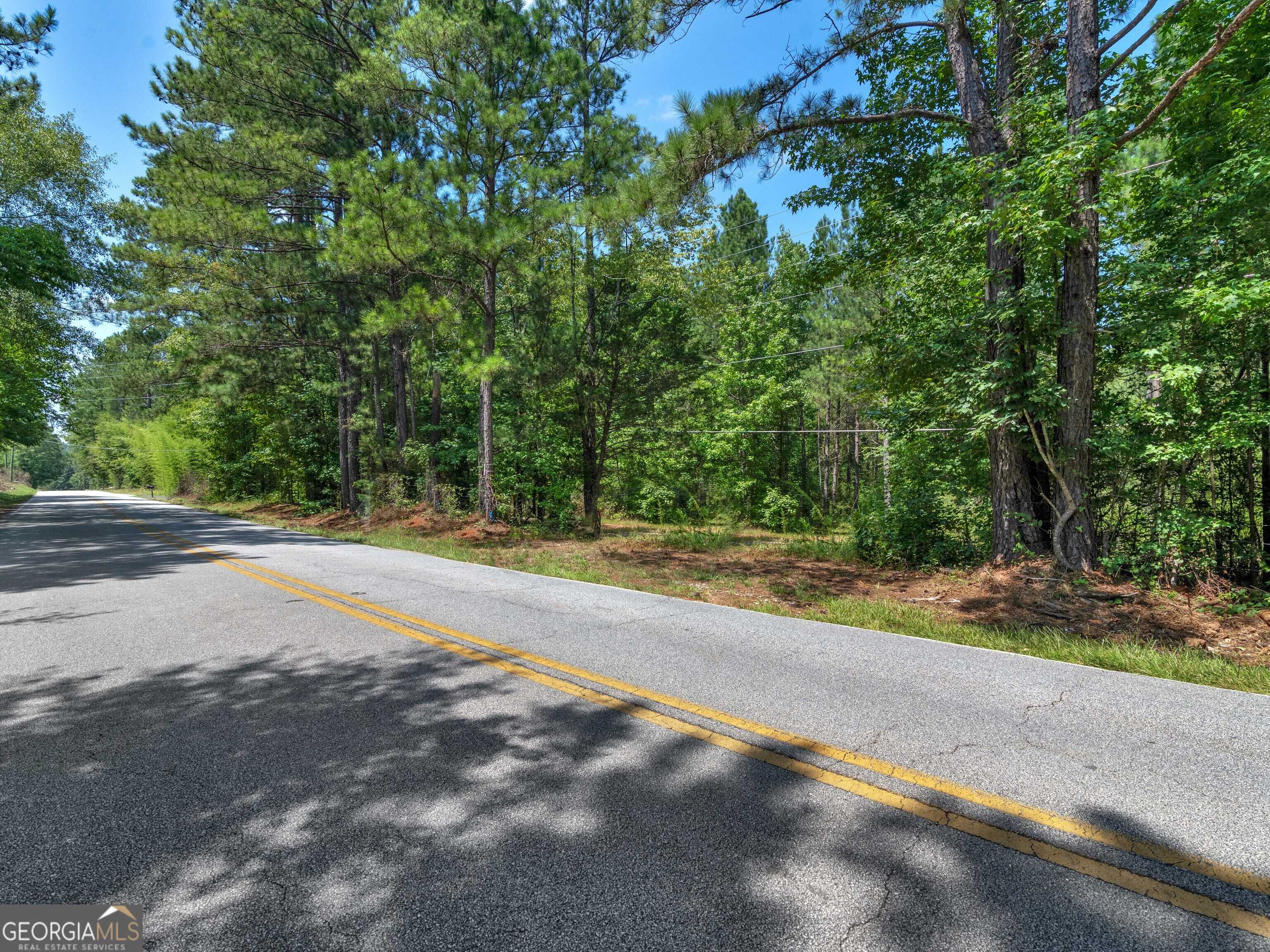 Covington, GA 30016,0 Chestnut RD