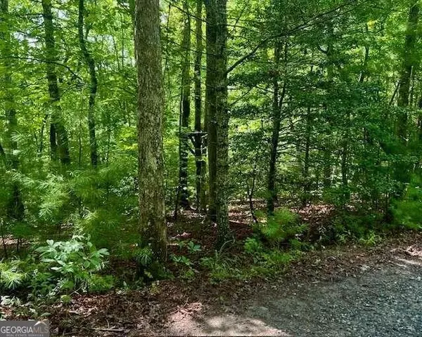 Blue Ridge, GA 30513,0 Hillbilly Holler