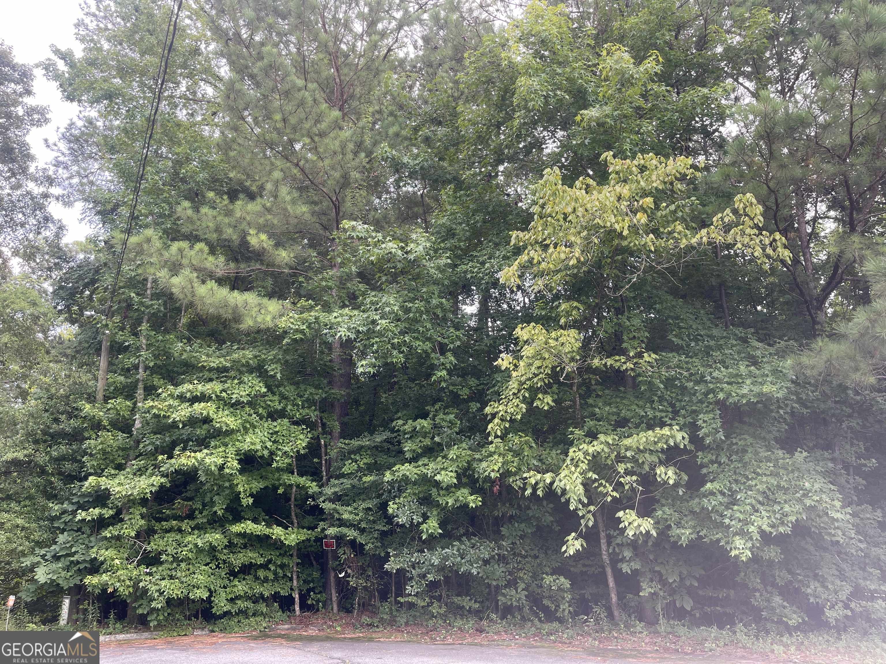 Macon, GA 31204,3064 River Ridge DR