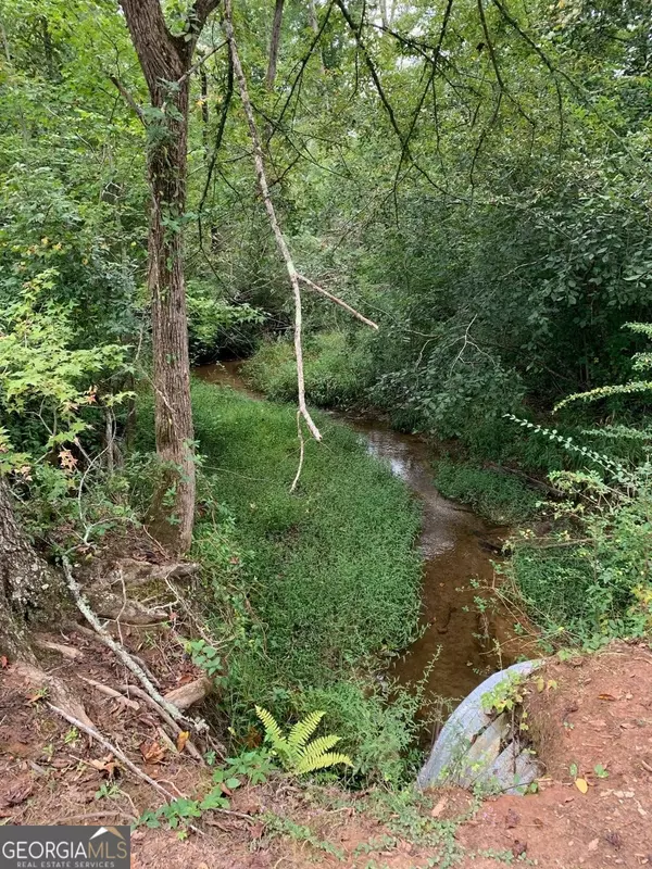 Hampton, GA 30228,600 Hillview TRACT 4 RD