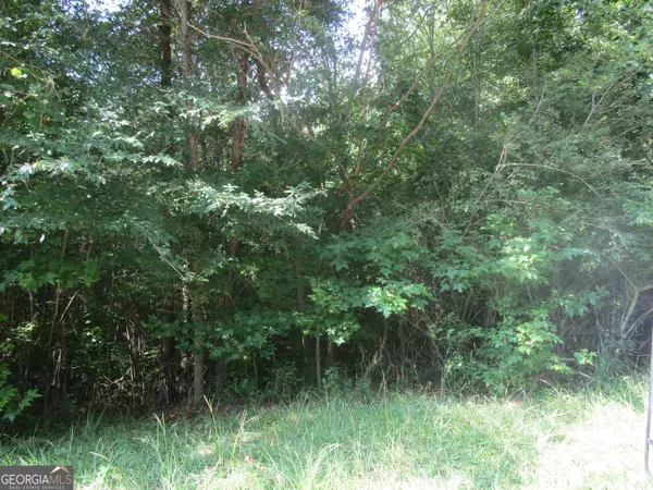 Griffin, GA 30224,133 Four Oaks DR