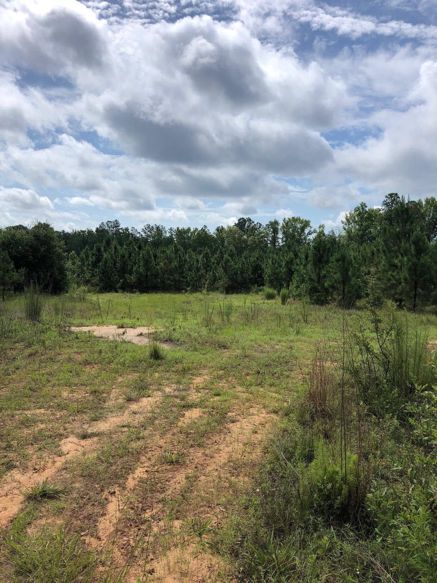 Toomsboro, GA 31090,0 Old Balls Ferry RD