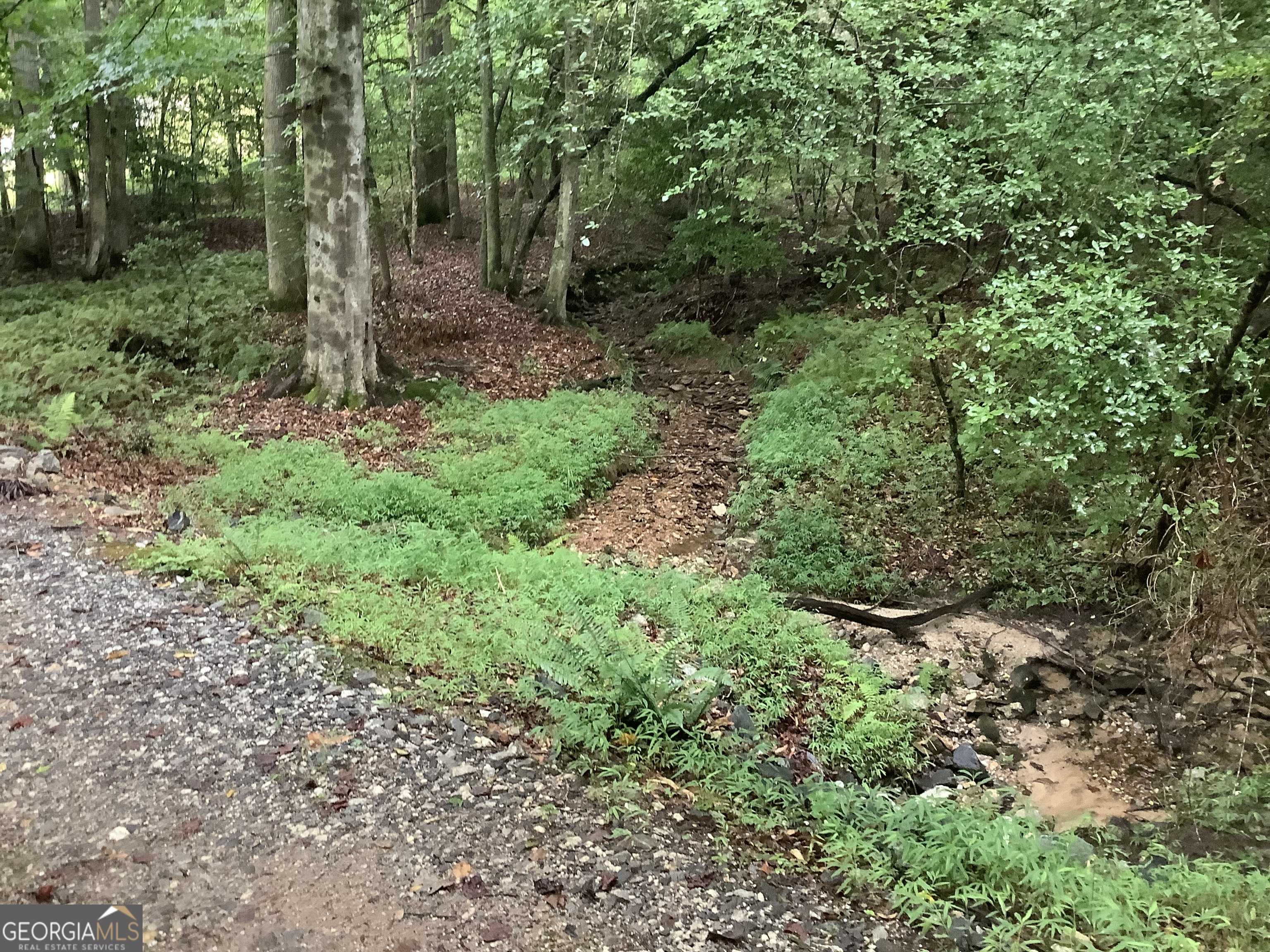 Cornelia, GA 30531,1133 Paradise Park RD