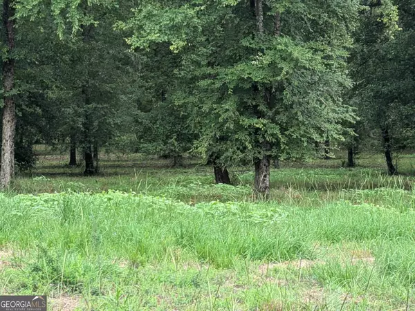 Greensboro, GA 30642,LOT 36 Bayside