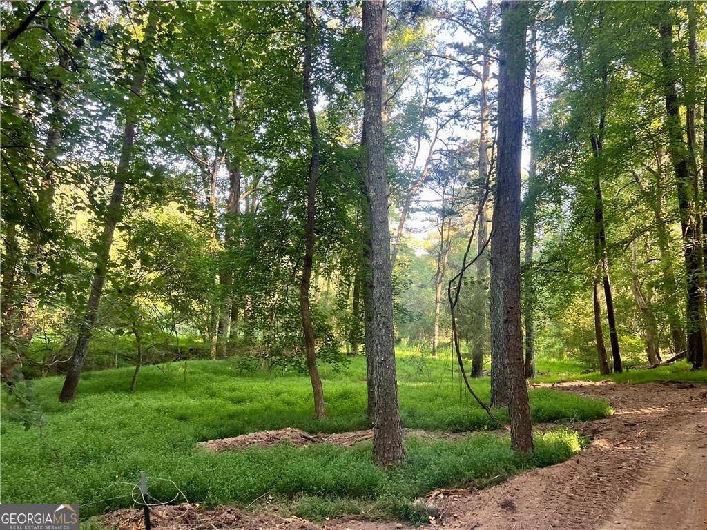 Canton, GA 30115,47 AC Jesse Martin TRL