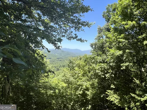 Morganton, GA 30560,0 Forest DR