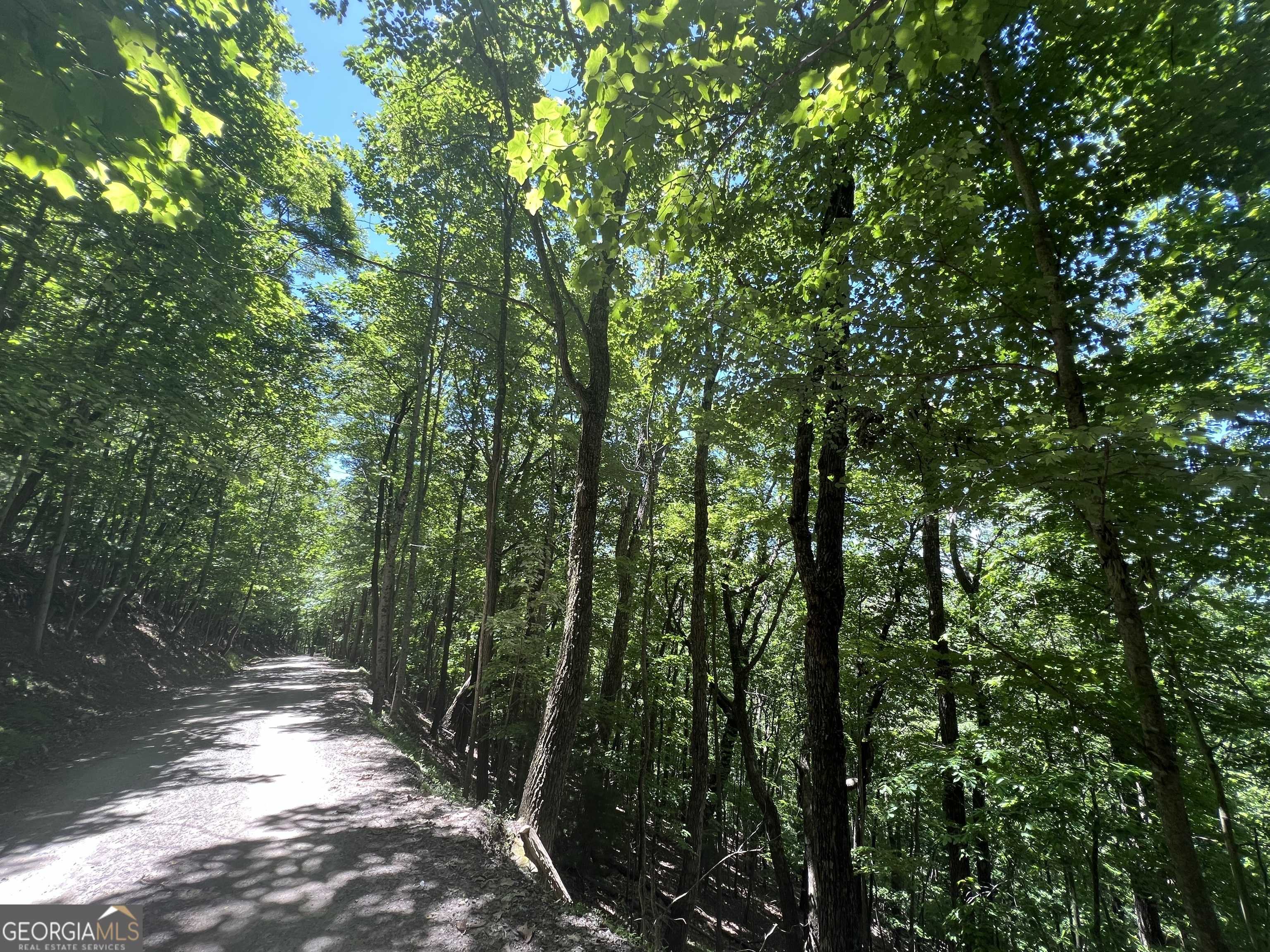 Morganton, GA 30560,0 Forest Drive