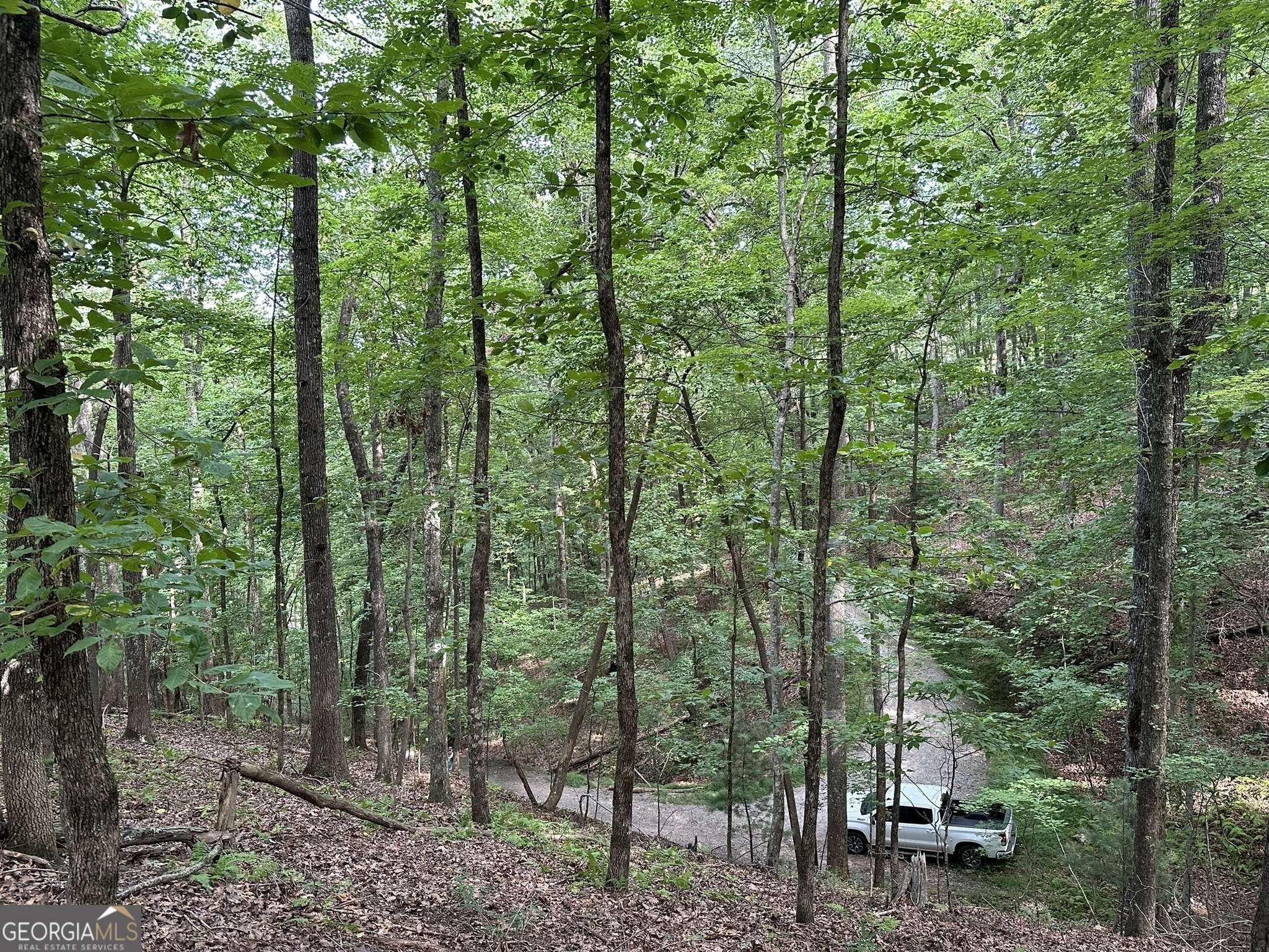 Morganton, GA 30560,LOT 12 Picklesimer Mountain RD