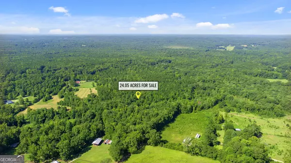 Griffin, GA 30223,24.05 ACRES New Salem