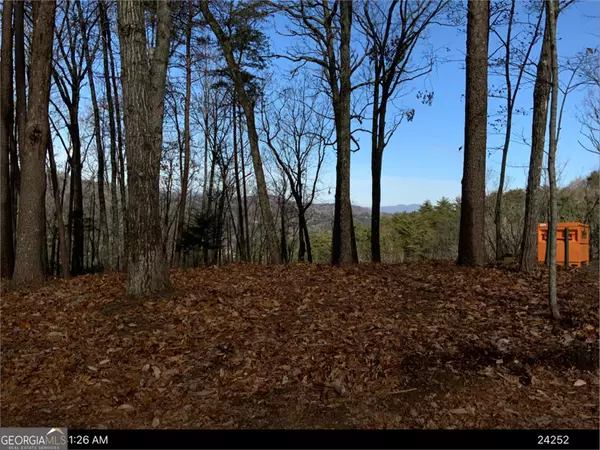 Blue Ridge, GA 30513,88 Laurel Ridge