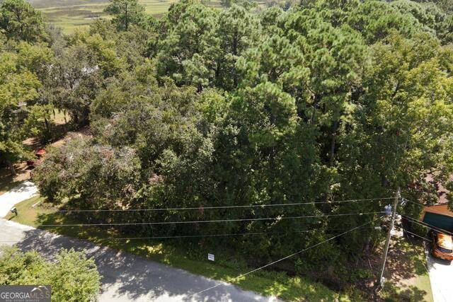 St. Marys, GA 31558,LOT 8B Dufour RD