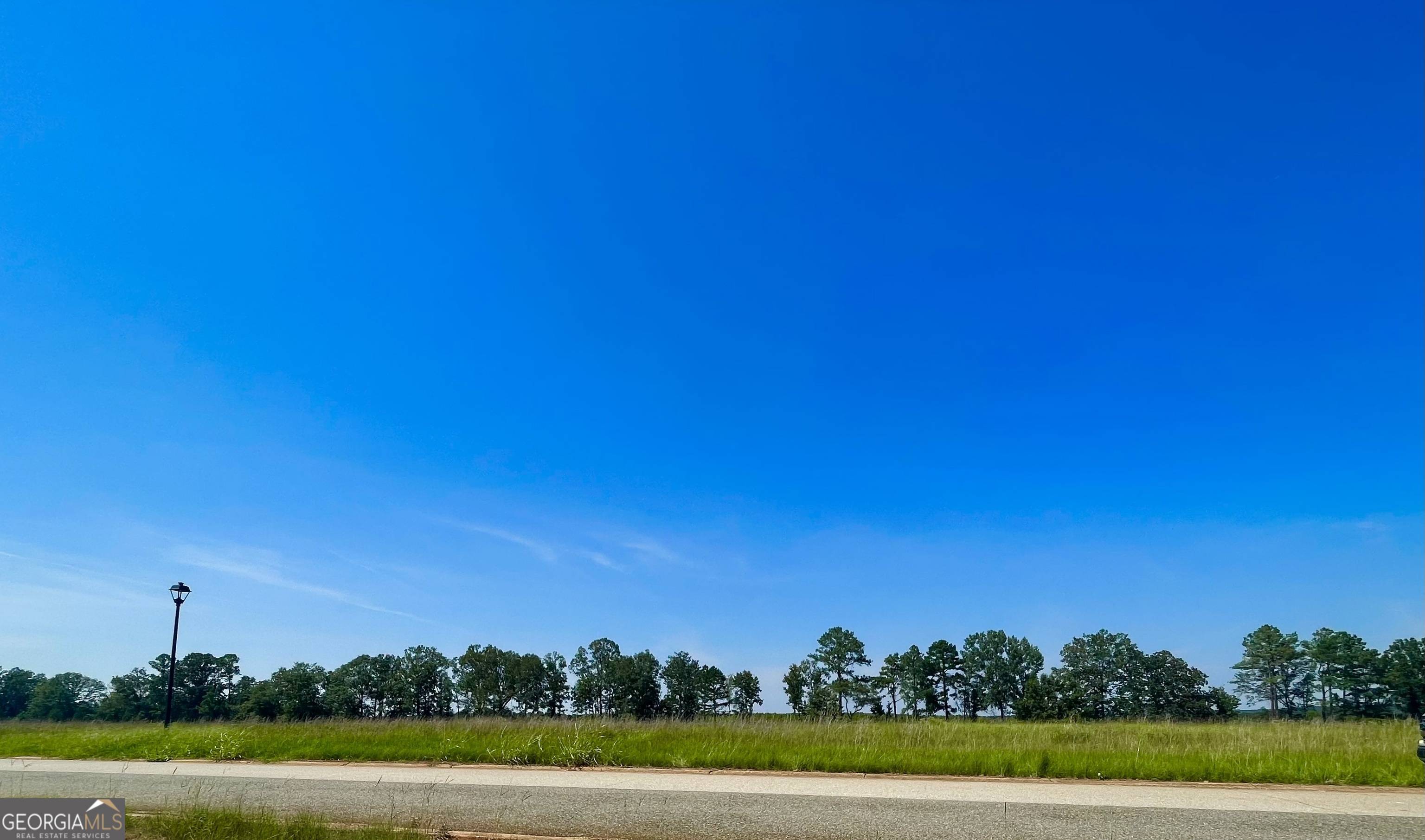Hawkinsville, GA 31036,LOT 36 Crabapple DR