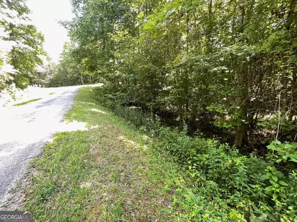 Young Harris, GA 30582,LOT 15 Conners Ridge