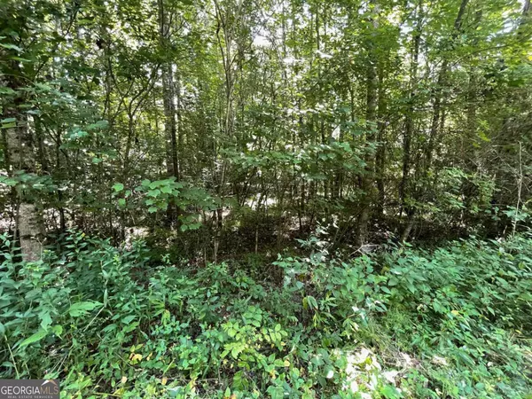 Young Harris, GA 30582,LOT 15 Conners Ridge