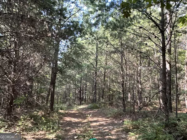 Cedartown, GA 30125,0 Fire Tower/Fire Mountain