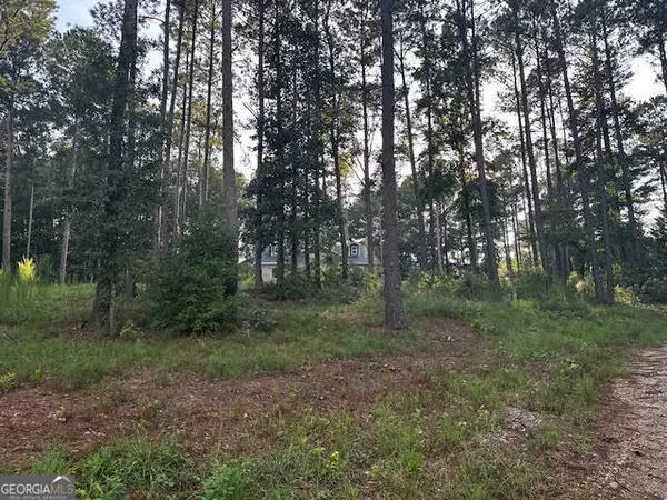 Ila, GA 30647,229 Morgan RD