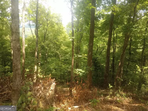 Sky Valley, GA 30537,0 Ridgepole/Covered Bridge #LOT 150
