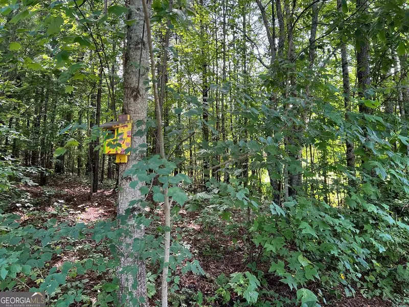 LOT 9 Deer Brook Subdivision, Hayesville, NC 28904