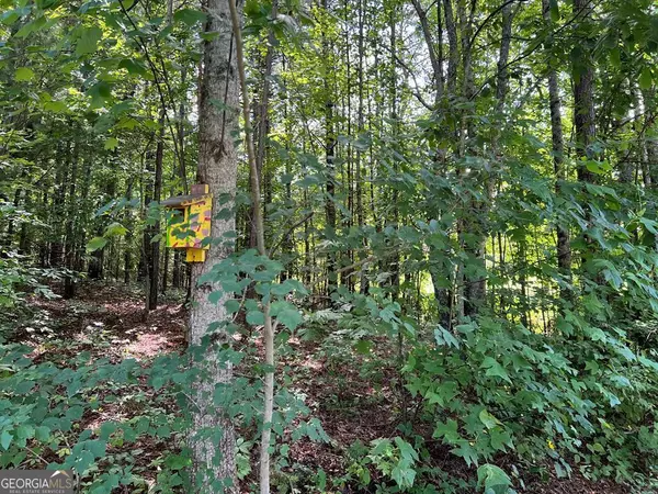 Hayesville, NC 28904,LOT 9 Deer Brook Subdivision