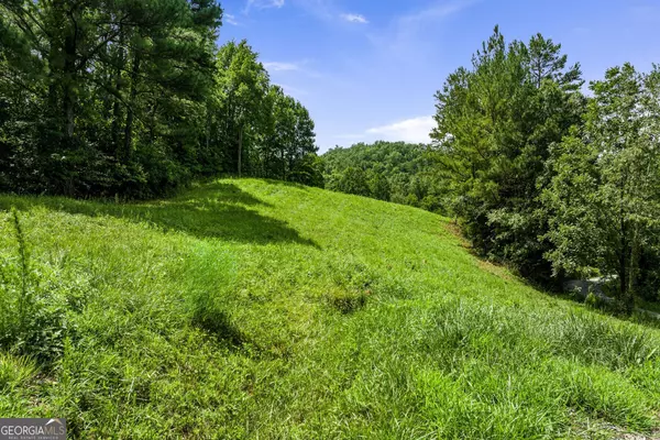 Mineral Bluff, GA 30559,LOT 2 Waterstone