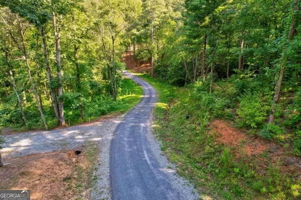 Ellijay, GA 30540,LOT 37R Hilton