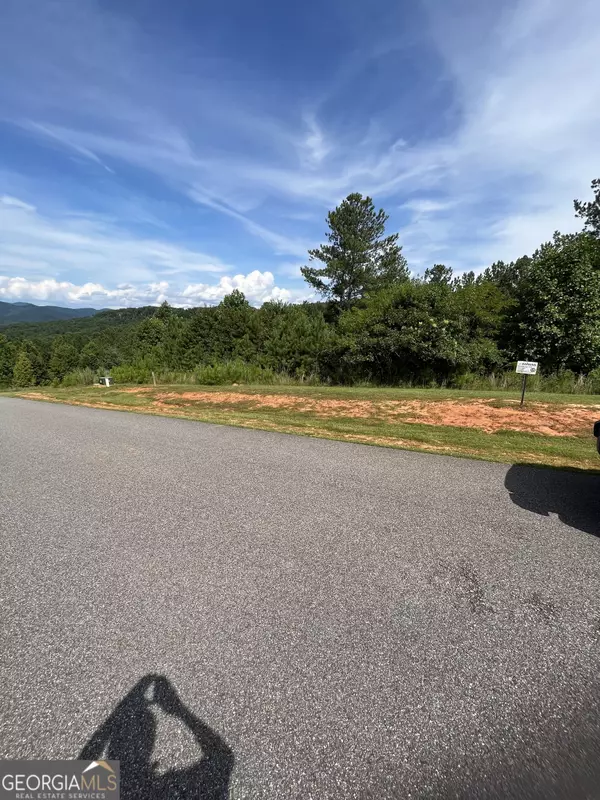 Blairsville, GA 30512,LOT 386 Marshall Rise