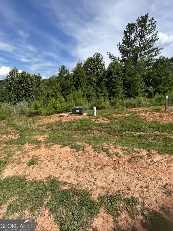 Blairsville, GA 30512,LOT 386 Marshall Rise