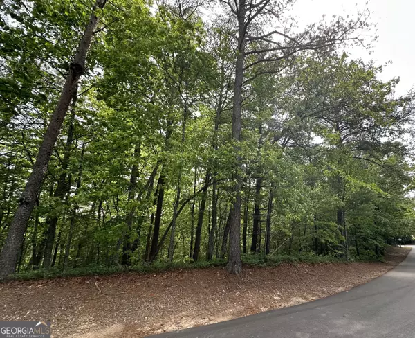 Helen, GA 30545,LOT 1 Wilfar Strasse