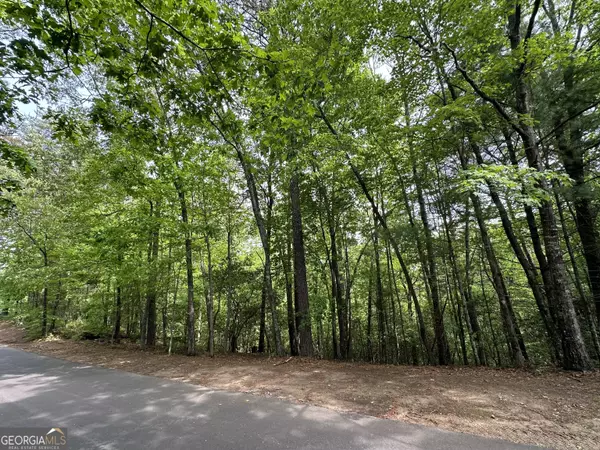 LOT 1 Wilfar Strasse, Helen, GA 30545