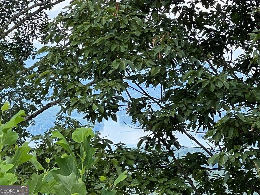 Hayesville, NC 28904,LOT 73M Ridges Overlook