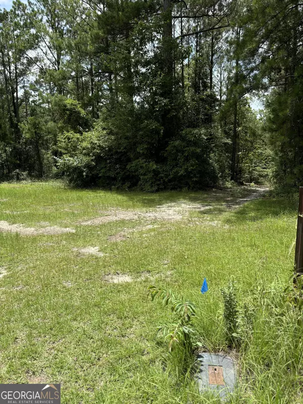 Cusseta, GA 31805,117 Pine Hill RD