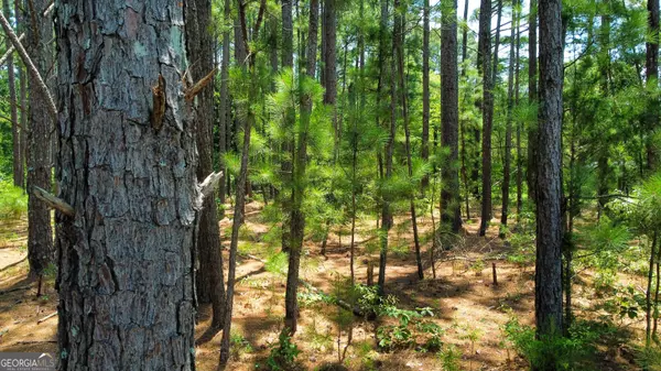 Woodbury, GA 30293,0 Mountain View CIR