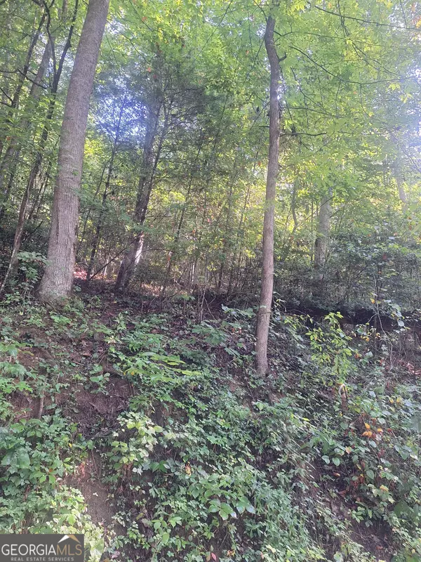 Suches, GA 30572,0 Coopers Creek RD